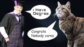 To Degree or Not to Degree? Education for Aspiring Animators