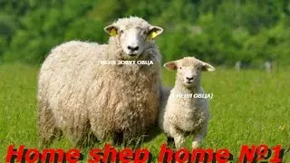 HomeSheepHome2 #1. Новое прохождение.