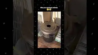 эй кот!😆