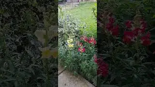 Момент