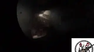 Маленький тест светодиодного фонаря ИК 940 нм