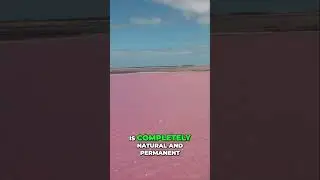 Discover Australia’s Stunning Pink Lake  Nature’s Colorful Wonder!
