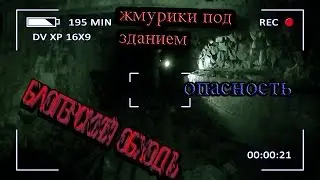 Б.О. #7 - необычная вылазка | опасность | жмуры под зданием