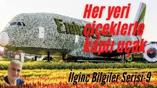 HER YERİ ÇİÇEK KAPLI UÇAK (İlginç Bilgiler Serisi-9 )
