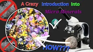 A Crazy Introduction Into Micro Minerals