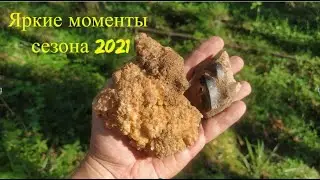 Поиск минералов. Яркие моменты сезона 2021