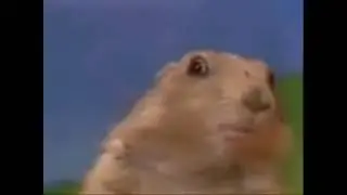 Hamster Dramatic Original Video Memes