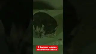 Участь любой собаки в фильме ужасов