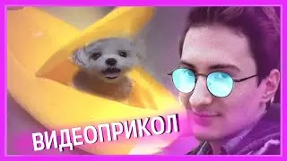 Олёша смотрит видео приколы 5