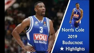 Norris Cole ★ KK Buducnost ★ 2019 AMAZING Highlights ᴴᴰ ★ EPIC Season!