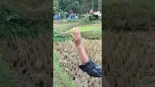 Survey ldks 