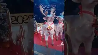 Xun chúc mọi người, mọi nhà Giáng Sinh an lành, vui vẻ. 