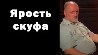 Ватоадмин: логика Юлина