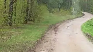 Где-то на границе Латвии и Литвы
