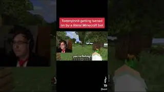TommyInnit getting turned on by a real Minecraft bot…