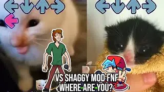 VS Shaggy Where are you? but HERBERT VS Towel Cat - Friday Night Funkin' Custom Animation