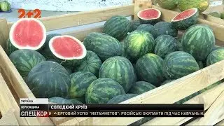 Баржа з кавунами сьогодні вирушить до столиці
