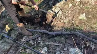 DTGT Detecting The Golden Triangle - 5 More Gold Nuggets Hidden In The Gully!!!!!