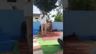 संविधानाला वाचवण्याची जबाबदारी स्वीकारा | महेश पिंगळे | भीमजयंती आसरडोह ता धारूर #bhimjayanti