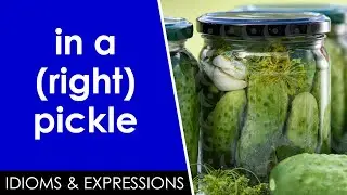 Learn English slang | in a pickle | Idioms & expressions