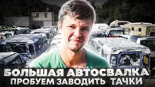 Закрытая АВТОСВАЛКА в Гонконг! Пробуем ЗАВОДИТЬ и ОБЗОР ТАЧЕК!