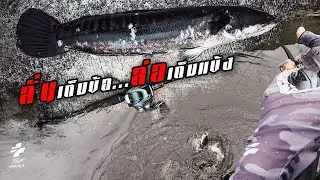 ช่อน !! และเฮียกระเจิงเมื่อ..ฟ้าลั่นมาเยือน