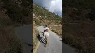 Боялся лошадей и пересилил свой страх)))