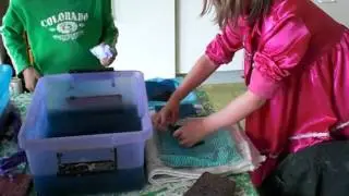 scheppers van Patye (3)