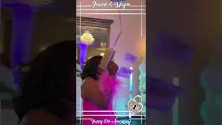 Money Gun w/ Burbs 360 Photo Booth Rental - Chicago Suburbs - Burbs360.com