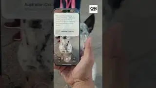Novo iPhone 16