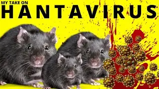 HANTAVIRUS | NEW VIRUS | CHINA 1 DEAD | UNCONFIRMED