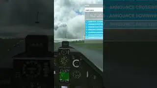 Obstacle on the runway