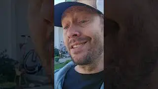 Spring Lawn Care In California Starts When? 
