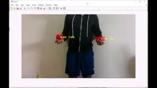 Red Colour Object Tracking and Detection