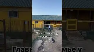 Как подарить подарок написала в комментах. 