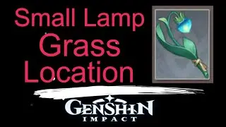 Small Lamp Grass Location genshin Impact