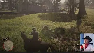 Собираю достижения в Red Dead Redemption 2🖤