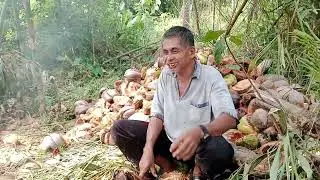 Copra Annual income  for 1K pcs PASA Vs. RESIKADA #Cocohistory #Copraprice #Cocofarmer #Cocoindustry