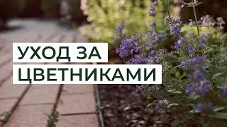 Уход за цветниками