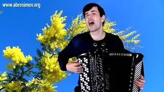 ВЕТКА МИМОЗЫ под баян поет Вячеслав Абросимов