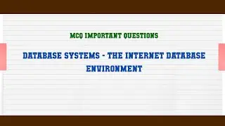 Database Systems - The Internet Database Environment MCQ Questions