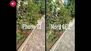 OnePlus Nord CE3 Camera Tes OIS Vs iPhone 12