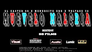 Muévelo💃Malcría-Gaster66 ❌ Menosito Oro ❌ Boltaje 32 (Visualizer Oficial)