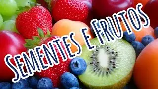 Sementes e Frutos