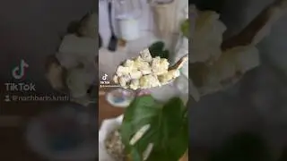 Салат вкуснее чем Оливье 😋 #рецепт #мяснойсалат #оливье