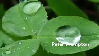 Peter Frampton -    I'm In You ( w/lyrics)