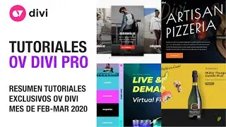 Video resumen de los tutoriales exclusivos realizados durante febrero - marzo en la Academia OV DIVI