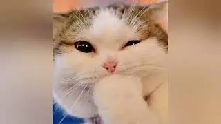 Включи когда будет одинока ♥♥😊
