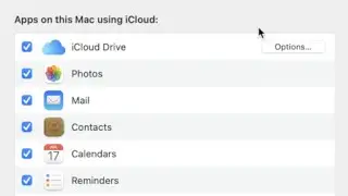 Syncing with iCloud on Mac and devices