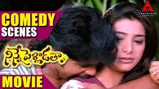 Ninnepelladatha Movie Comedy Scenes - Ninne Pelladatha Movie - Nagarjuna,Tabu